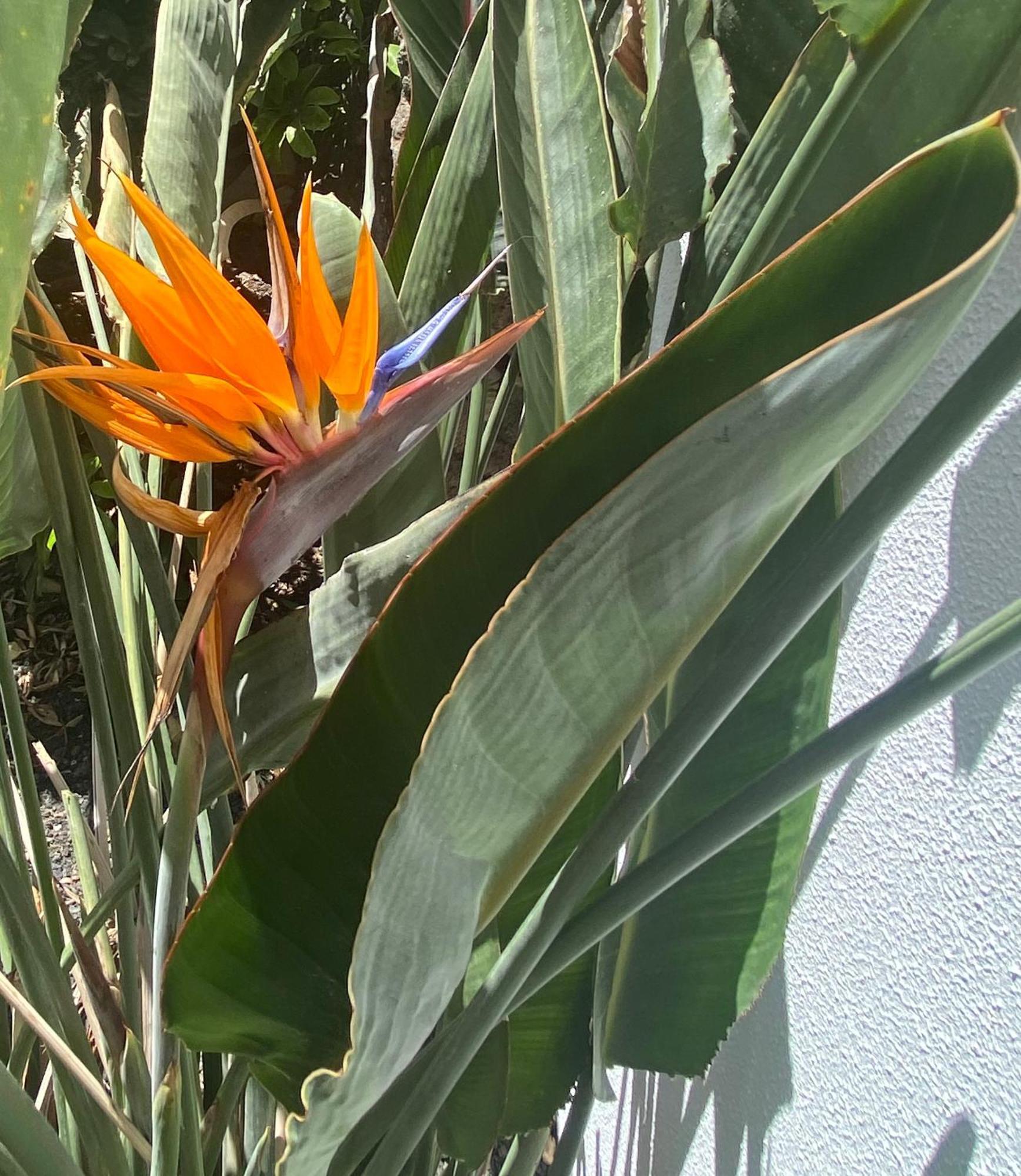 Casa Rosalia Villa Corralejo Luaran gambar